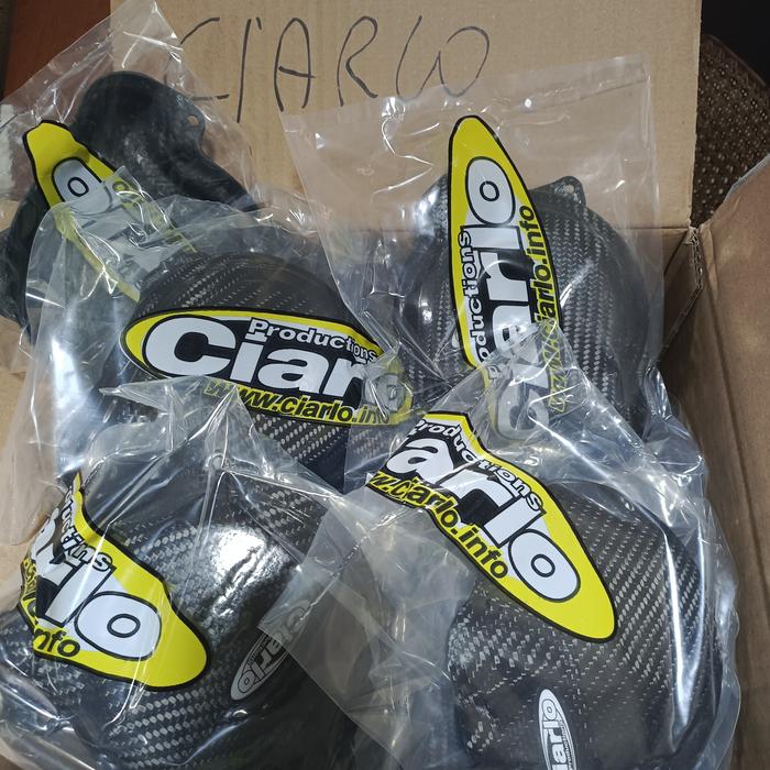 Dinamo Cover Carbon Beta RR300 2019/23 Ciarlo Italy